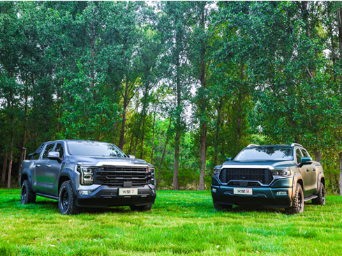 ����Ƥ����ȫ�ߴ�Ӳ�ɺ��AƤ��