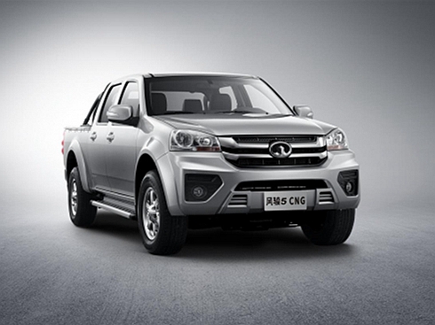 �L��Ƥ���L�E5-CNGӲ������ ���ۃr8.18�fԪ