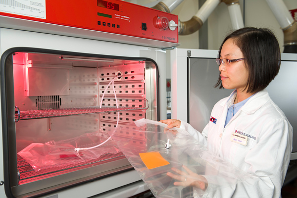 20160818 ��ʽ�z�y��.jpg