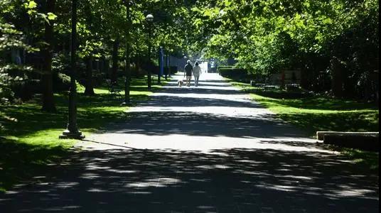 ����A(y��)��늄�(d��ng)؛܇(ch��)��ȼ