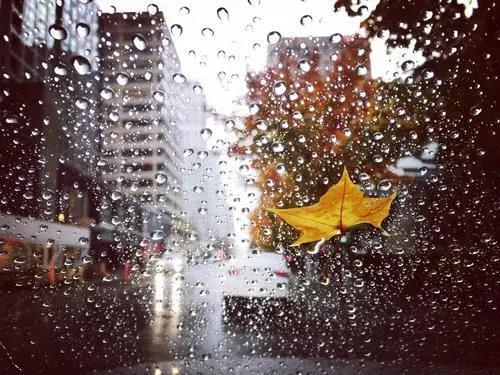 ���� | �����_܇����Щ��������ЩҪע��