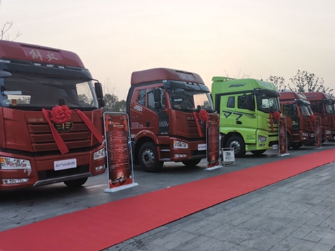 �Ј�ռ����29.5%  ����_���N��һ֦����