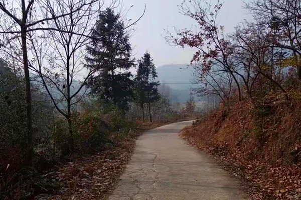 5GӲ�˷���(w��) �����ĵ׵ľ�Ԯ�������