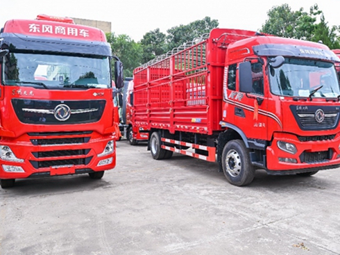 ���V��朅ǂ���ȼ?x��)��ؿ����x�|�L(f��ng)���y�ִ������������(bi��o)�U