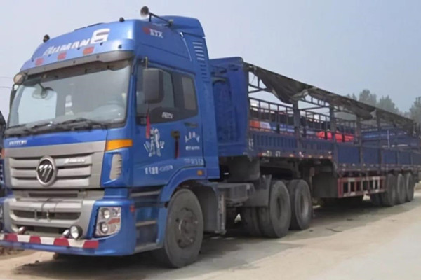 �����f����ʮ����һ�գ��c�W����ͬ��(sh��)�F(xi��n)��(m��ng)��