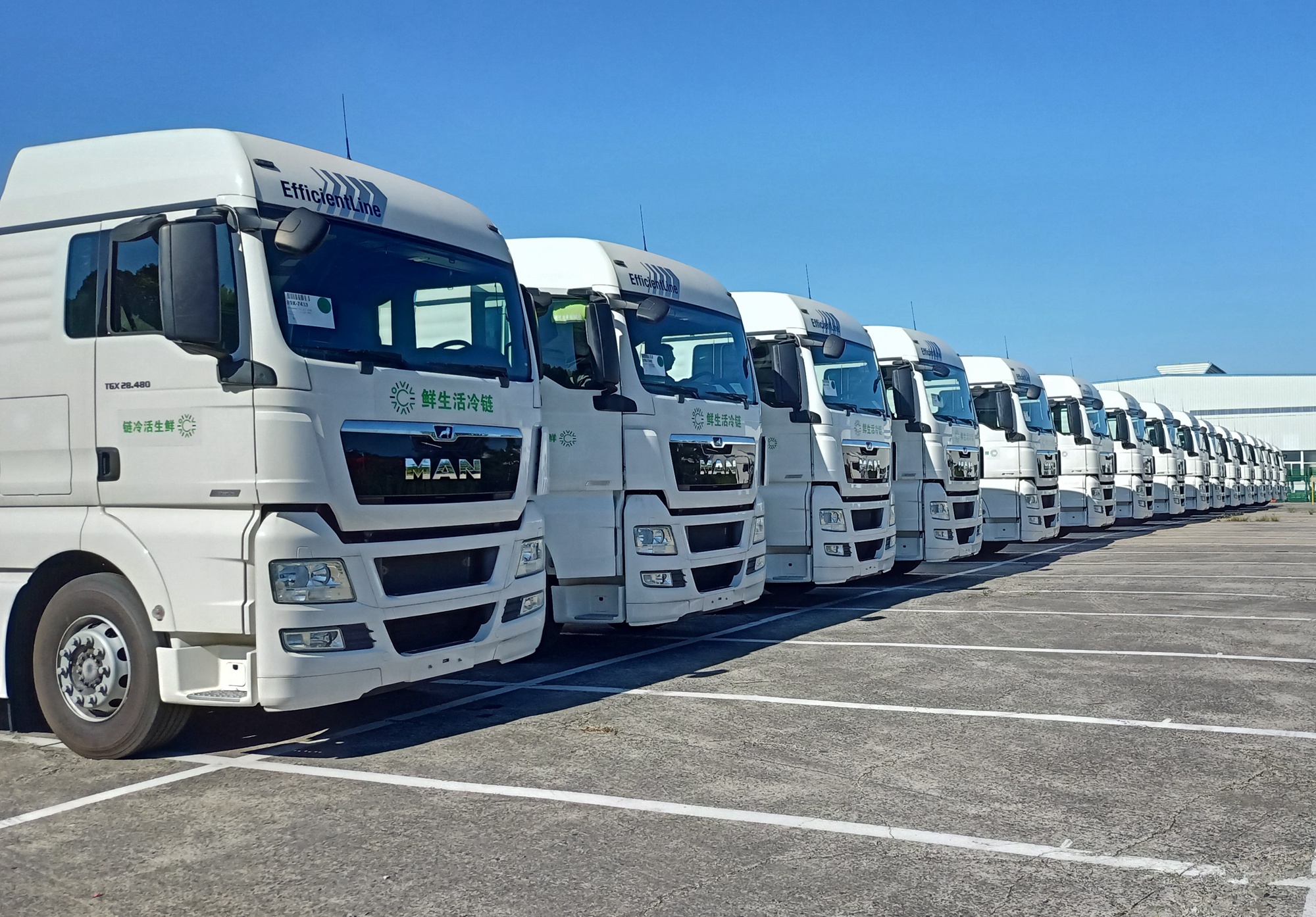 4. ����TGX��Ч�栿��܇.jpg