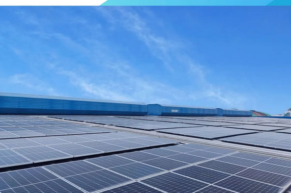 �Ї�(gu��)���\(y��n)�Gɫ������Ƥ��(sh��)��ʽ�l(f��)��