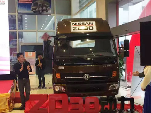 ��ُ������ �|�L(f��ng)�P����ZD30��ɽ����