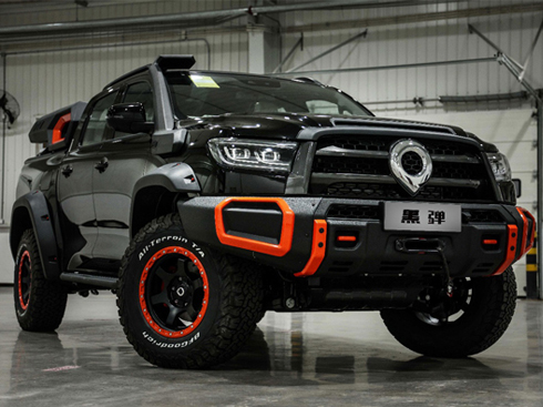 ��24.88�fԪ �L(zh��ng)���ںڏ���ʽ����