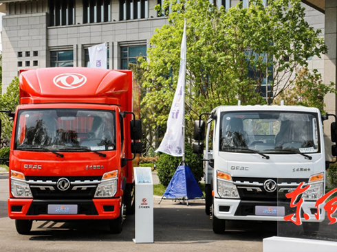 �٘I(y��)�X;������  �|�L(f��ng)�������������С��Wҫ����