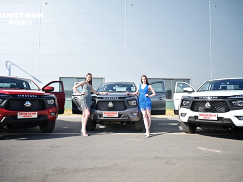 �����Ј�500�_ӆ�ν�܇ �Ї���������Ƥ����(chu��ng)��������¼o(j��)�