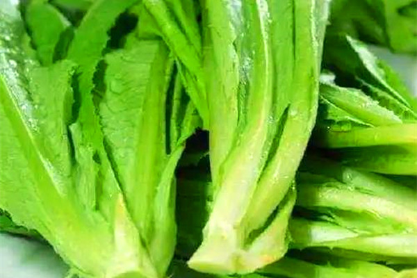 ���С���գ���؛  �Gͨɵɵ�ֲ����