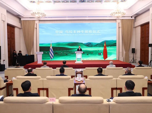 ��(gu��)܇�͇�(gu��)�Y����