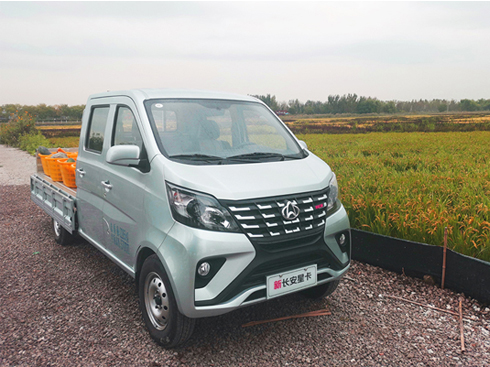 ����d ��(d��ng)����(qi��ng) �`��ʡ�� ���L(zh��ng)���ǿ� ܇݆�ϵġ��S����