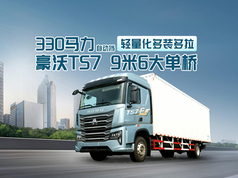 ��ҕ�l��330�R���Ԅӓ� �p�������b���� ����TS7 9��6��Θ�