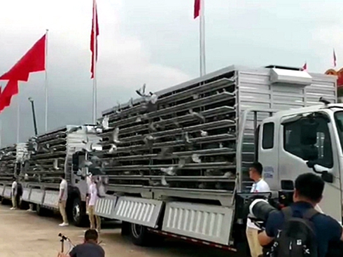 �I(l��ng)�ȿƼ� ���(gu��)Ʒ�|(zh��) �W���W�R�ɈA�M����A�Q�c���o(h��)�� 