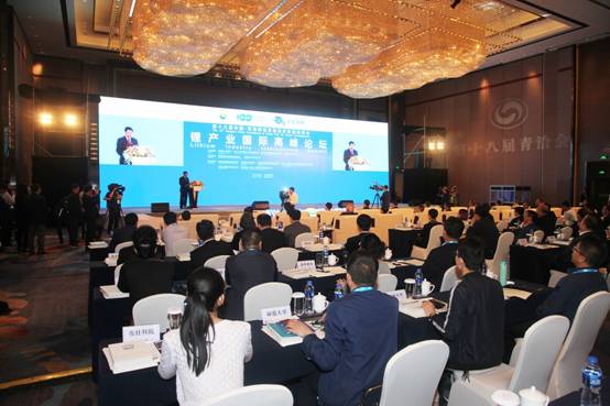 ǰ������ ��(chu��ng)�°l(f��)չ 䇮a(ch��n)�I(y��)���H�߷�Փ�������}������Դ